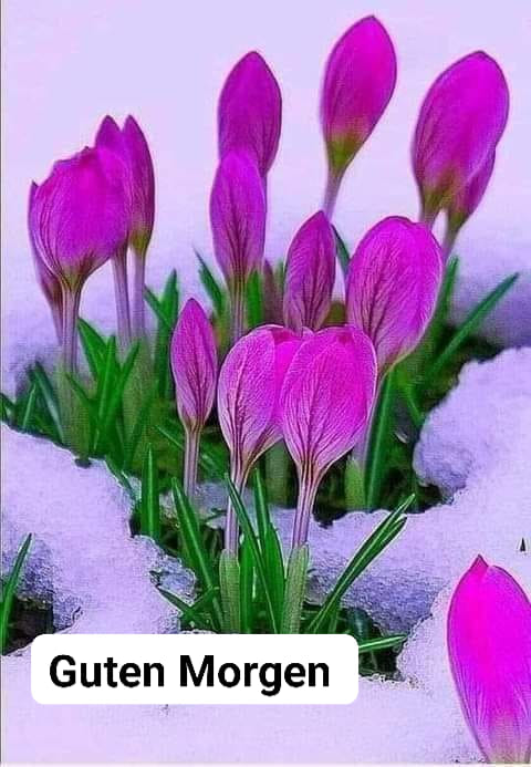 323427399_737435964578633_6742039053379965342_n