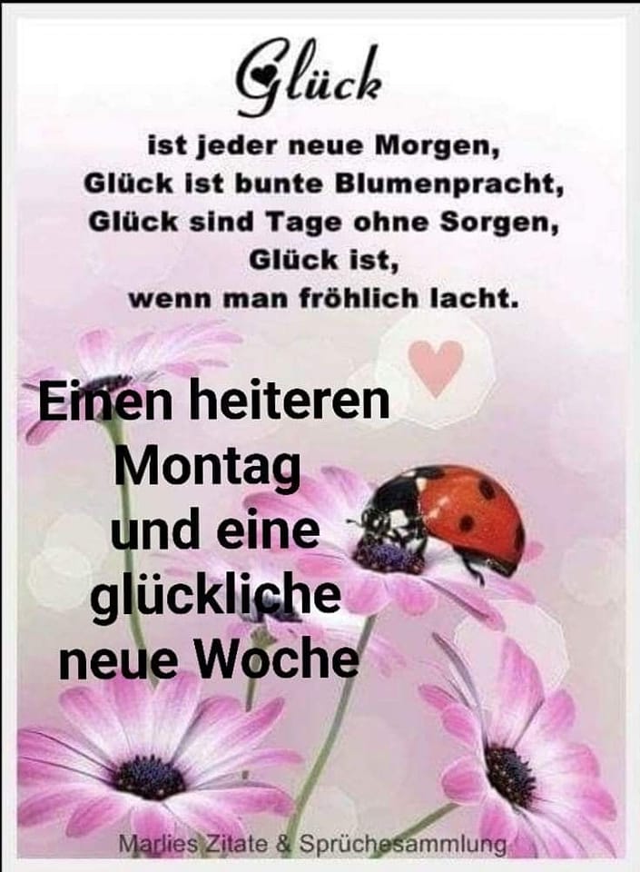 323438483_483500790613470_3259210679111856585_n (2)