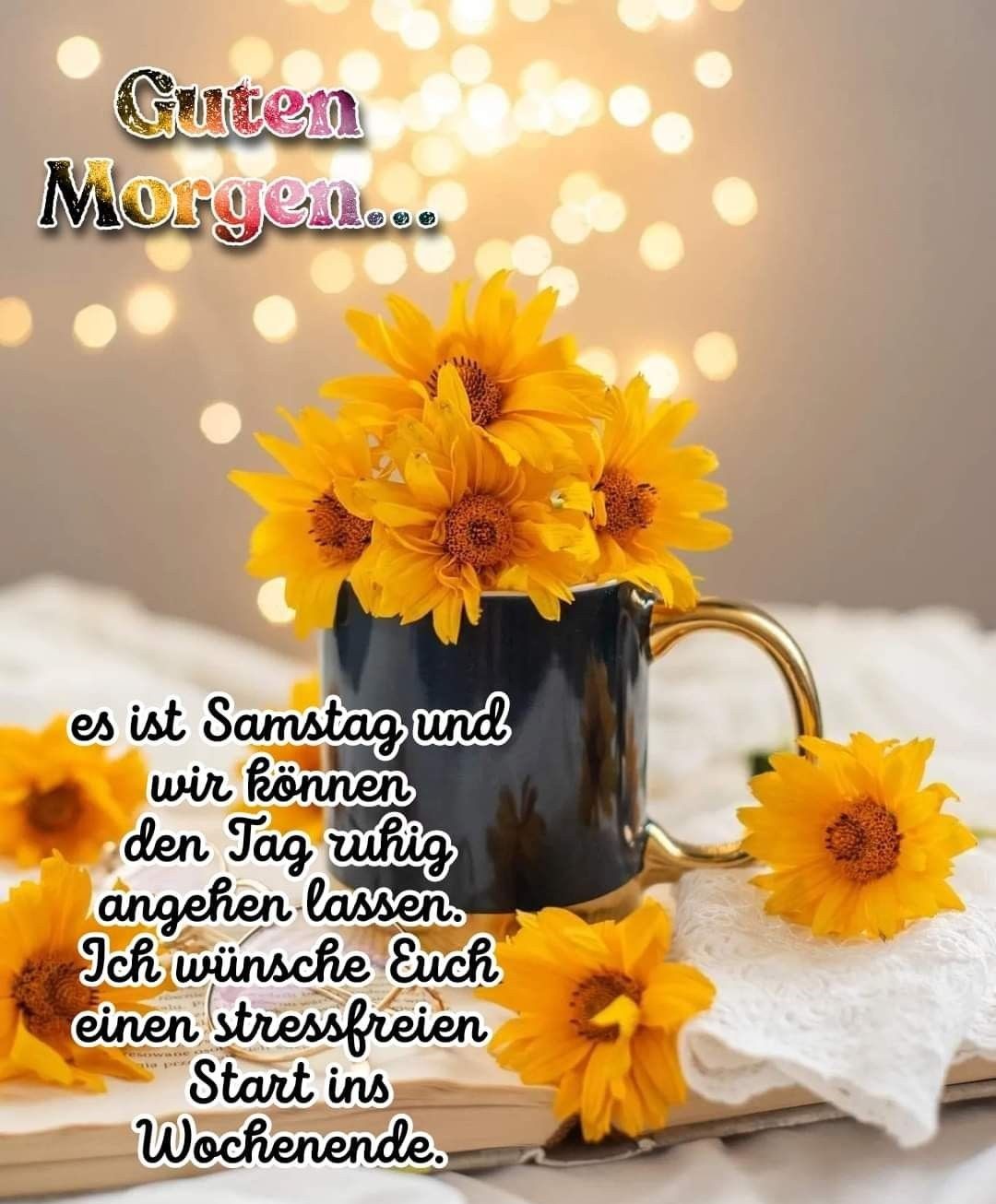 323779131_462732389238595_1210168228177114290_n (1)