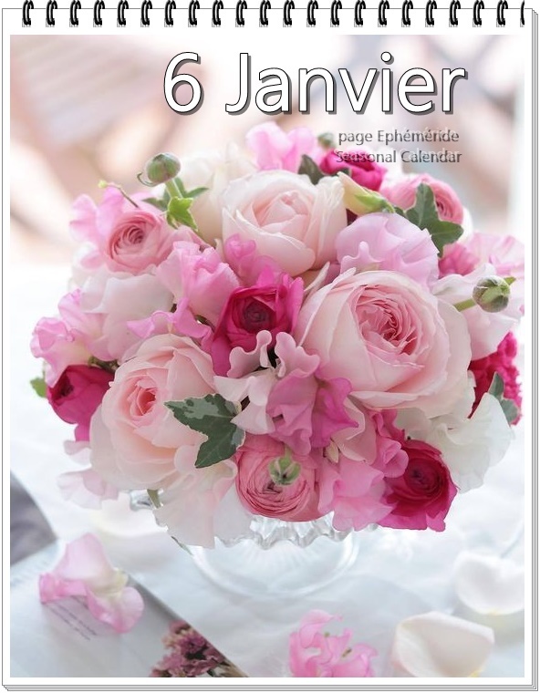 324076952_492689662948604_7191037316721337505_n