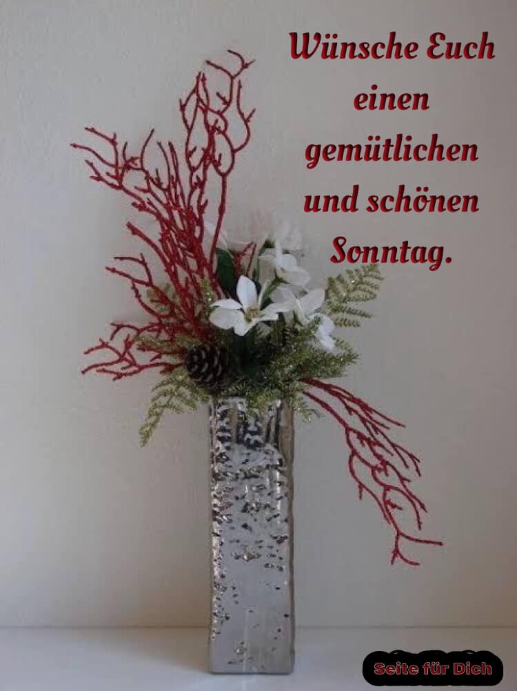 324406696_944745643174455_811792231032513446_n (1)