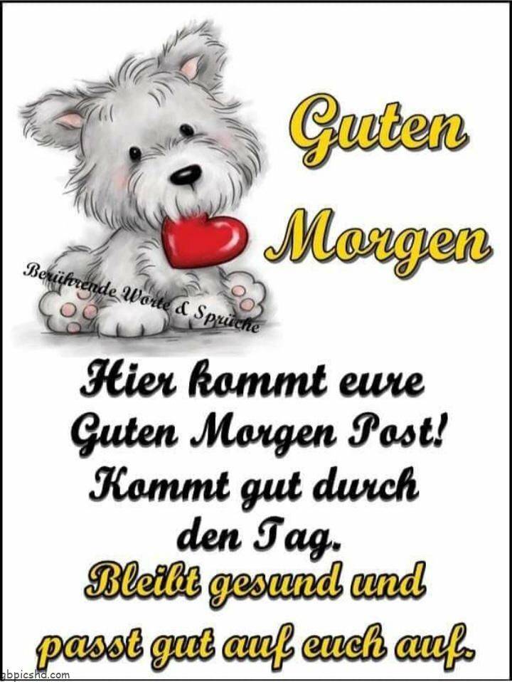 325773330_735260651292867_5660765720757849396_n