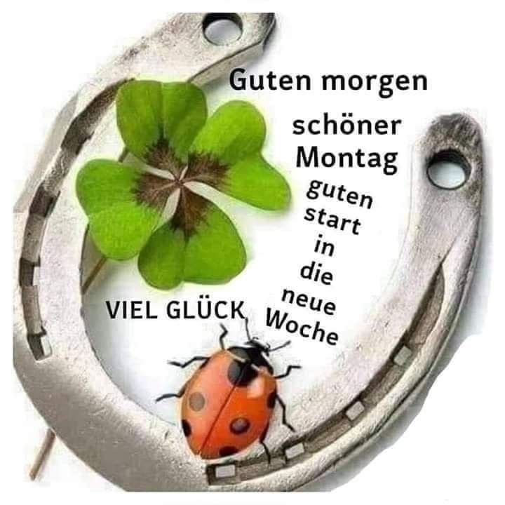 325849975_1246636139260750_4326949845066365875_n (2)