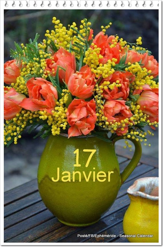 326110517_558039305999586_1725244498720791388_n