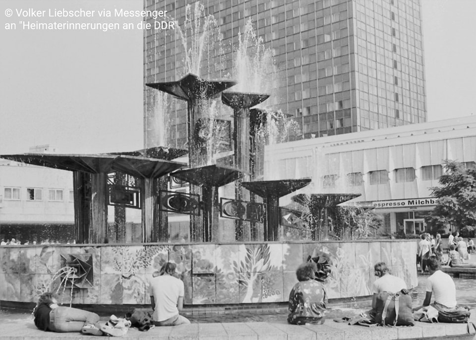 326162063_566457188479051_2732868233492184462_n