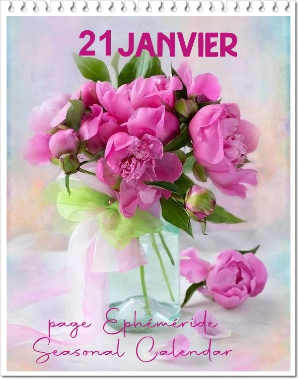 326576306_729659785122980_1253828857380446913_n