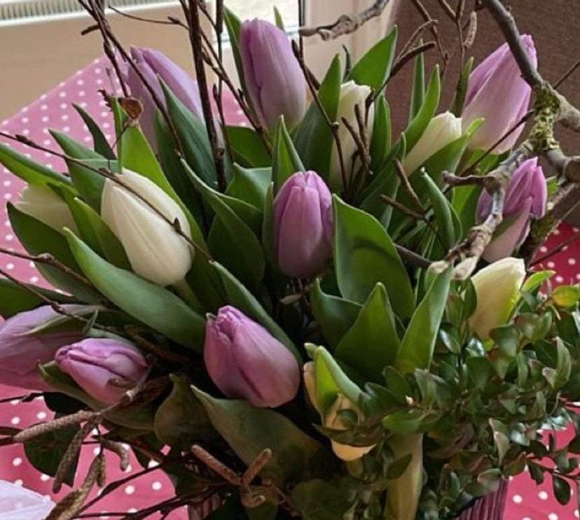 326995536_1523434938142592_461699383085091458_n