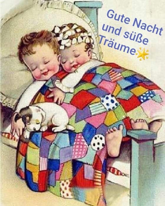 326e66eb623ea1c9aa739594cb264f8e.jpg gute Nacht