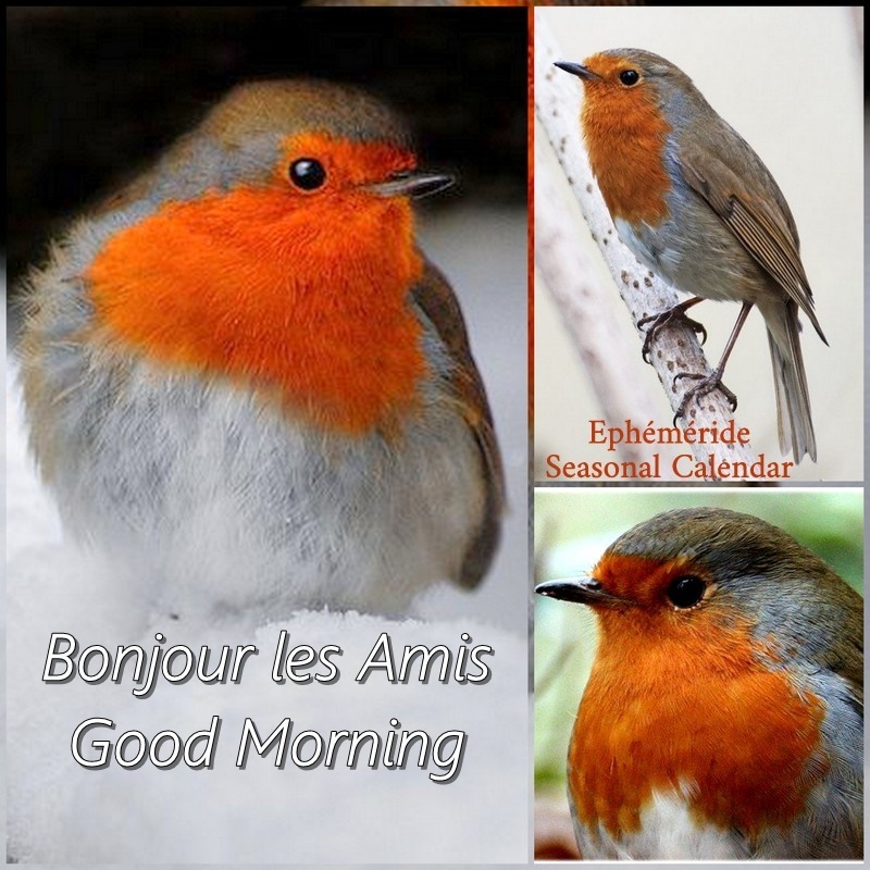 327168264_3497684757112261_1784793643168333565_n