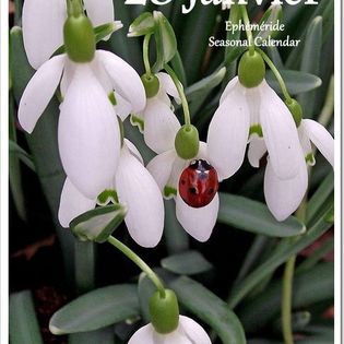 327599178_2579976118810804_6684712152606510915_n