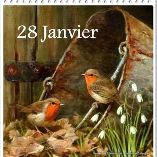 327653966_718274582998254_2330406856038585953_n