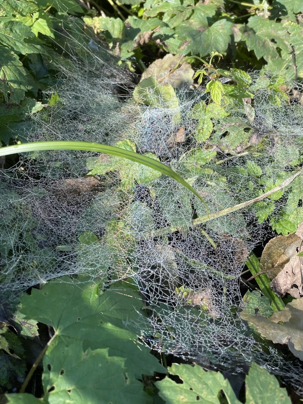 3276B34E-6625-4673-AECF-43551A1A68ED