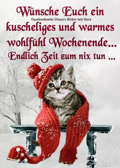 327734149_736943691045531_3991070080753461283_n