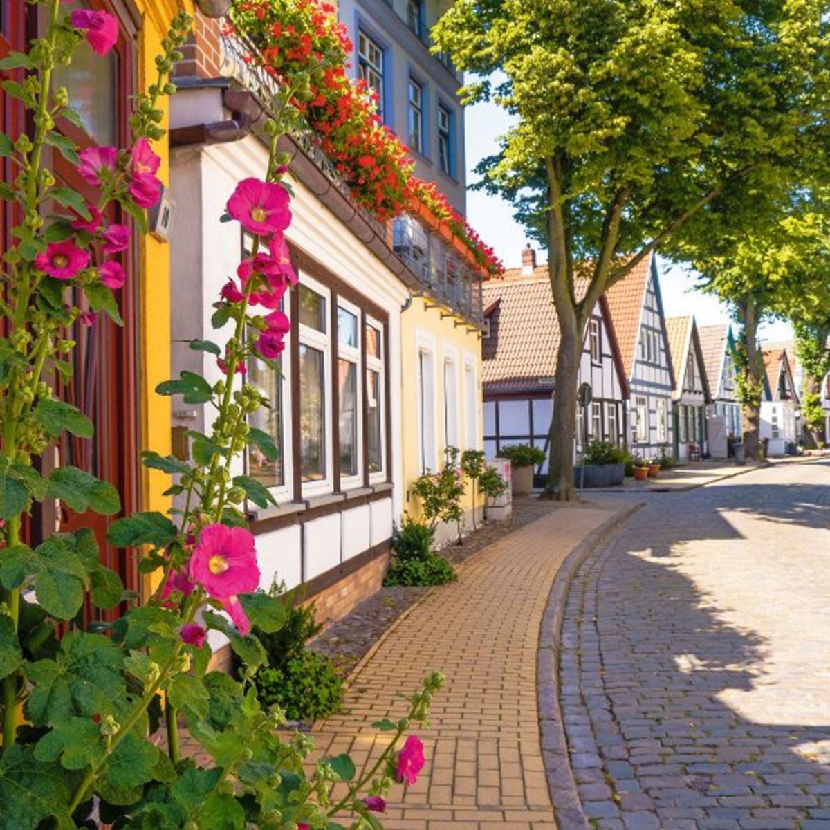 328073-1200x_-nocrop