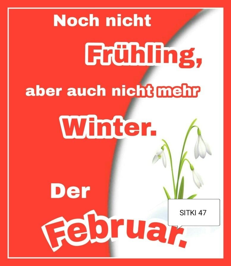 328146362_643257817805712_141721788676856261_n