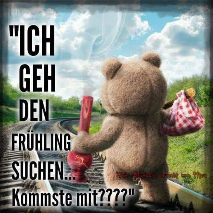 328337949_1395736004594768_7633394194646774820_n