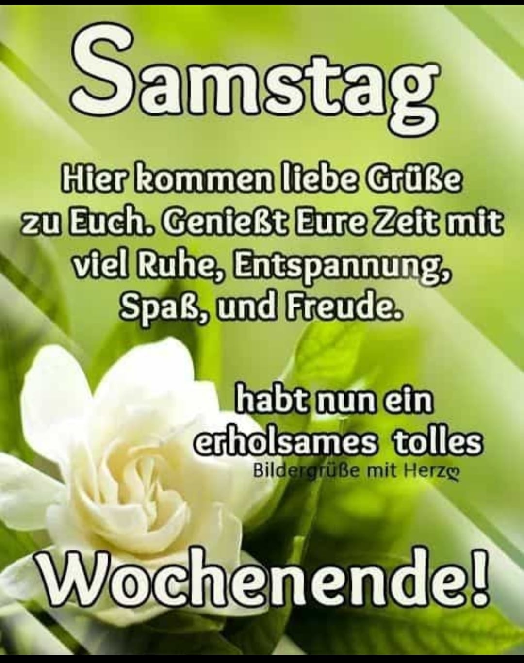 328996663_487661336906671_3970865687353407463_n (2)