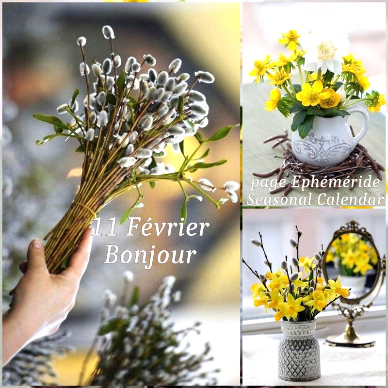 329266559_570366985011247_768523380020840198_n