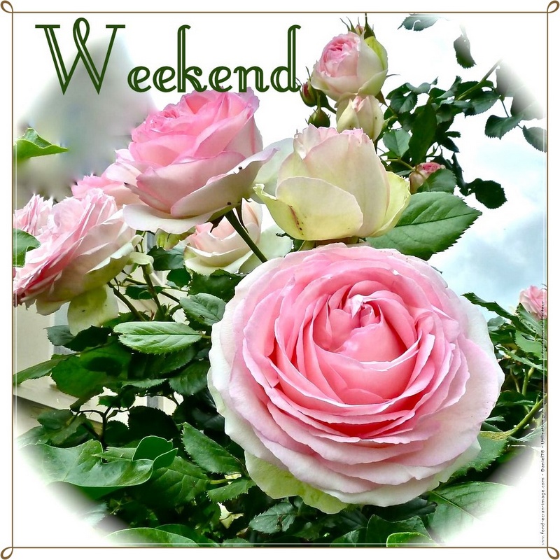 329312667_852360129390692_8942222160693200512_n