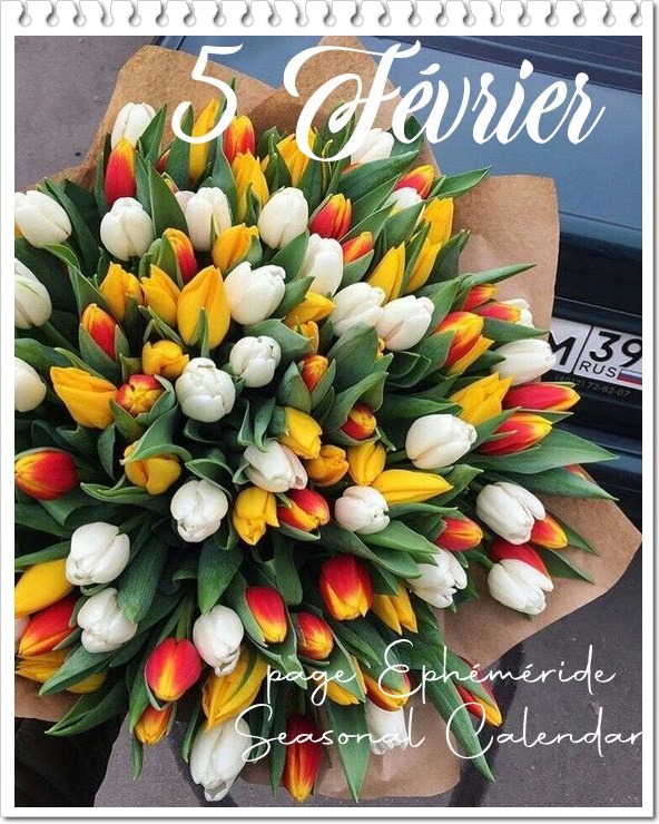 329436123_542170544563171_2735342303777687568_n