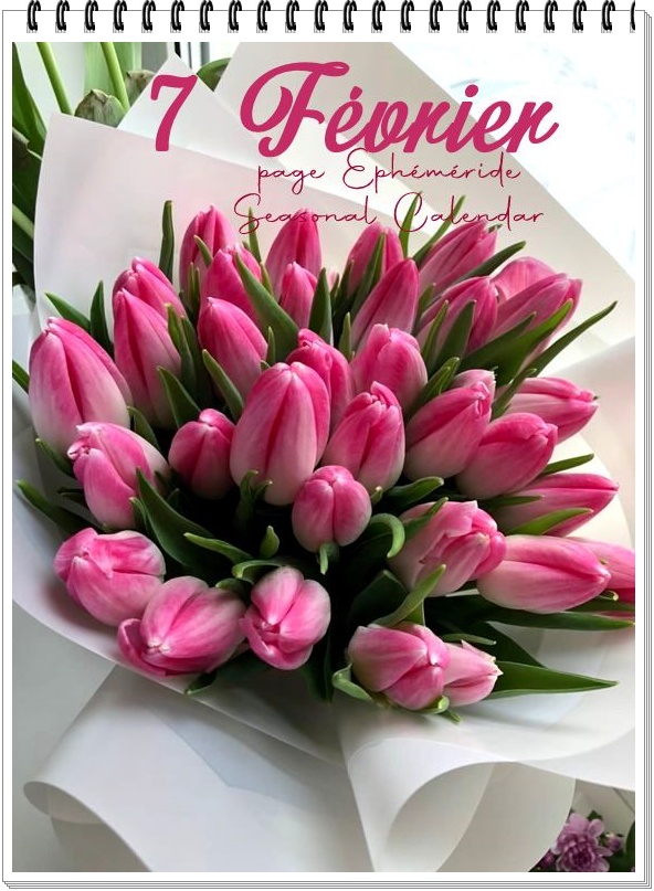 329598228_563440072467676_5676889329994880307_n