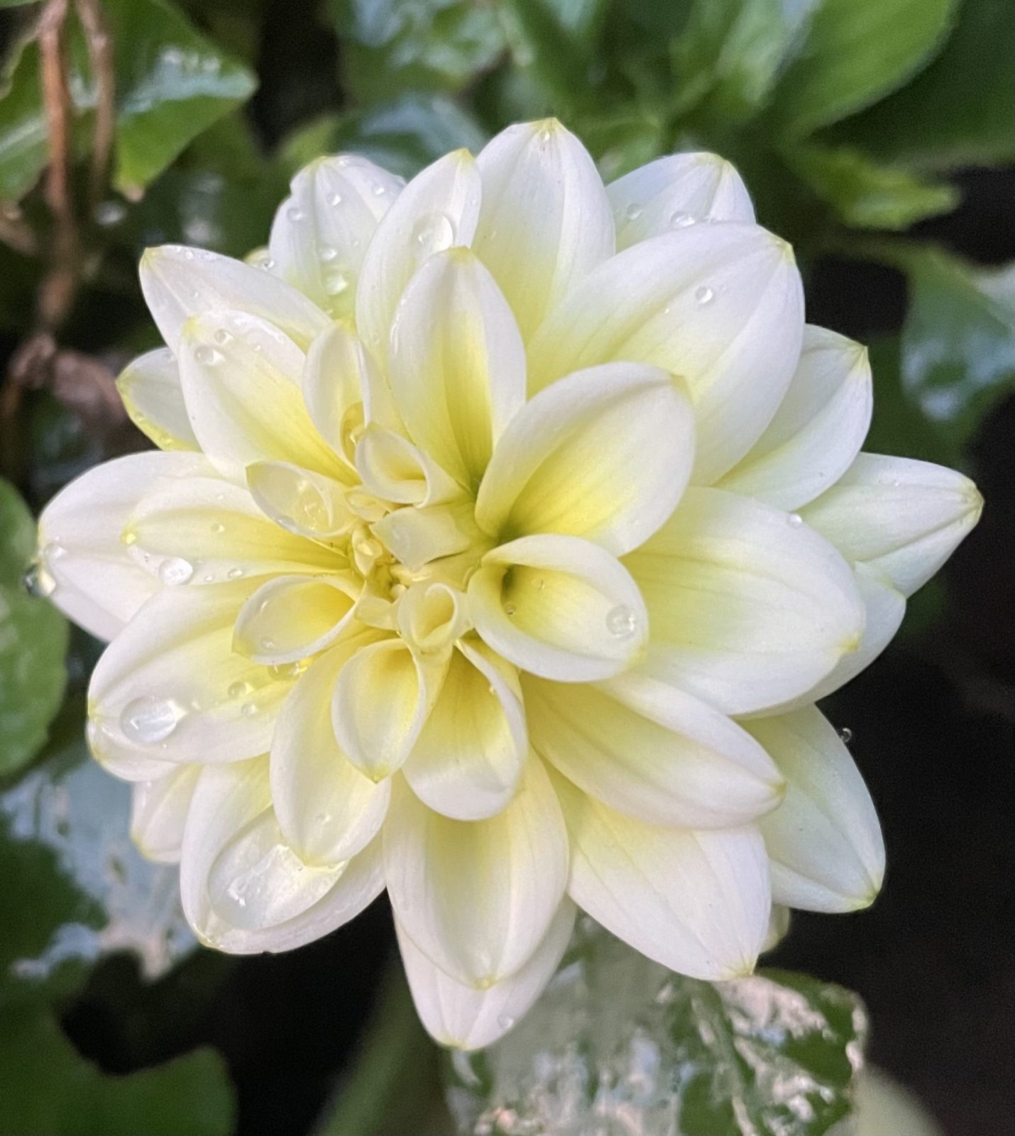 32B1E085-4DB7-4183-81FE-2A4BAF246434