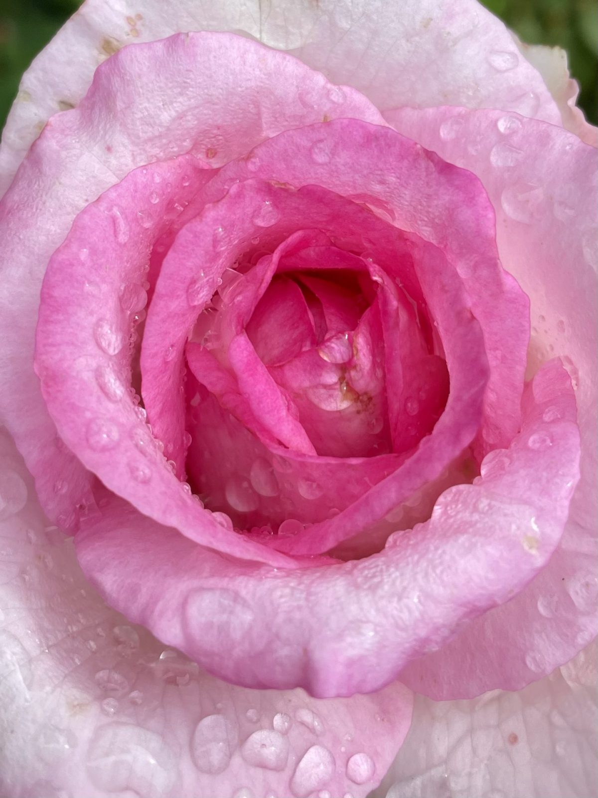 32D15FDB-E806-4F26-B8B6-D1882F78EBE6