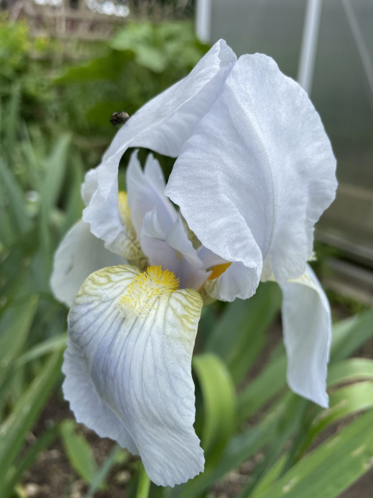 32F55981-0DBE-4B40-BBF2-25046A5C9878