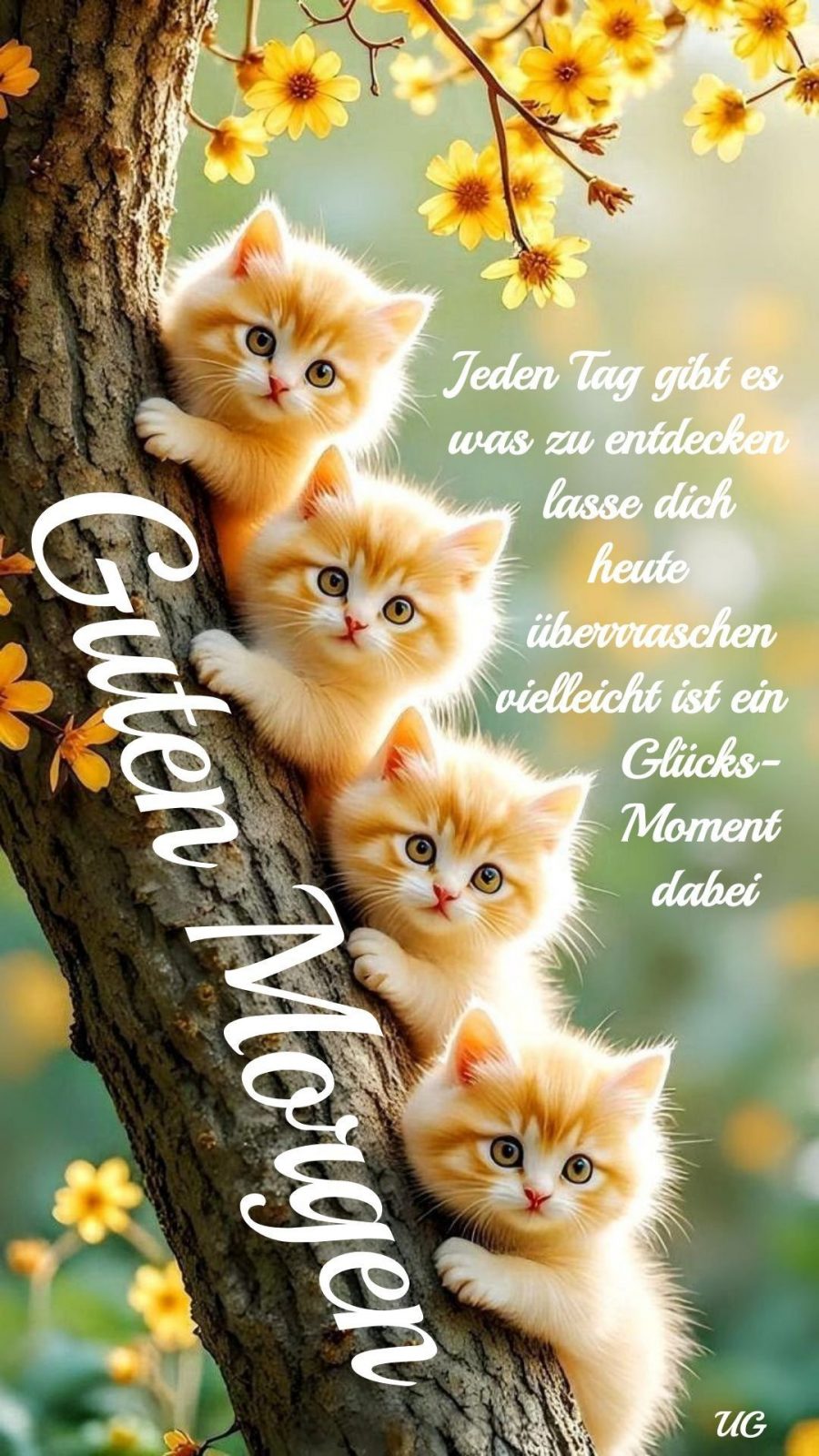 32aba48ff9a0769191bf7eeb7dd6d787