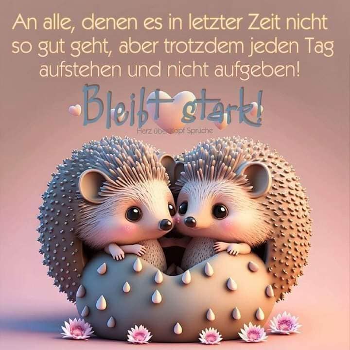 330777617_687739999767773_5143761665140895903_n (1)