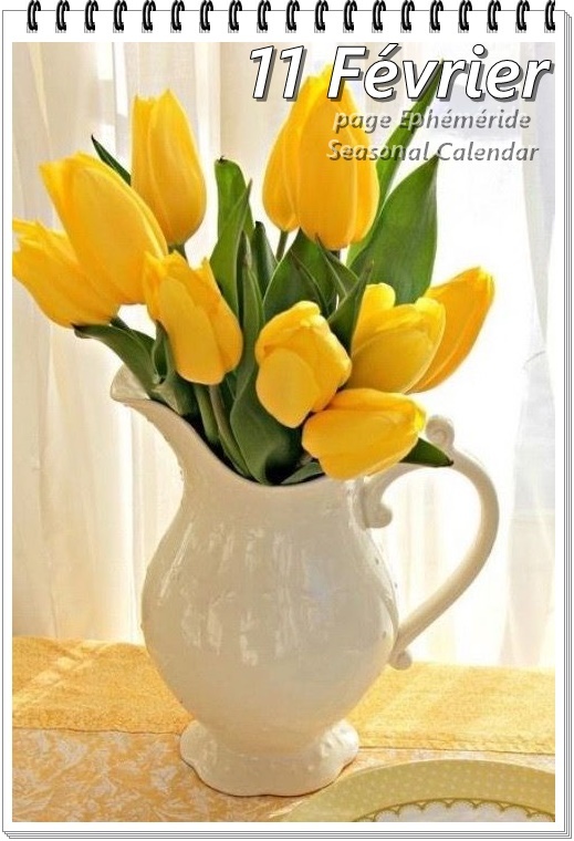 330782543_1327467361443251_685180479774053063_n