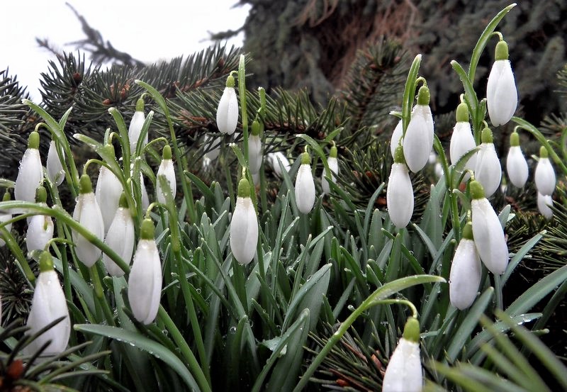 331378429_711274810511678_2296351715801910026_n