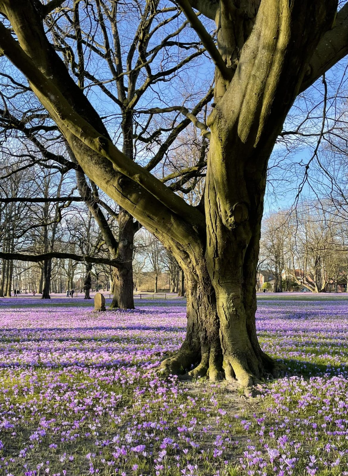 331508315_1310601076463171_4770527005243824288_n (2)