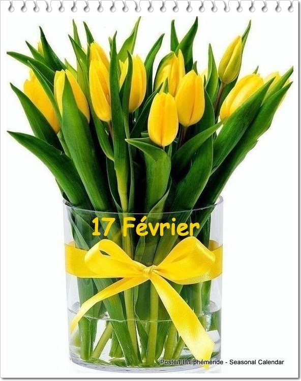 331563765_738213034482014_2409856117350006098_n