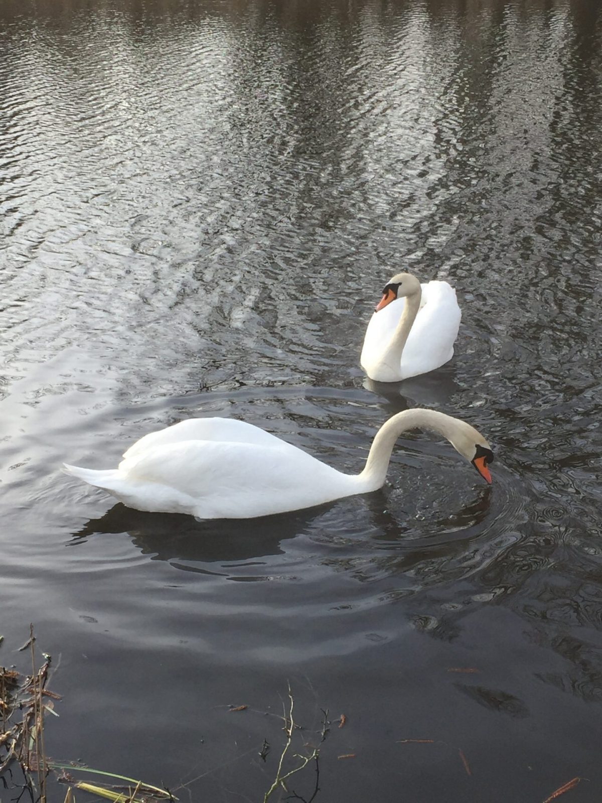 331A9F3E-6EE4-4233-BC10-08E100C758C4