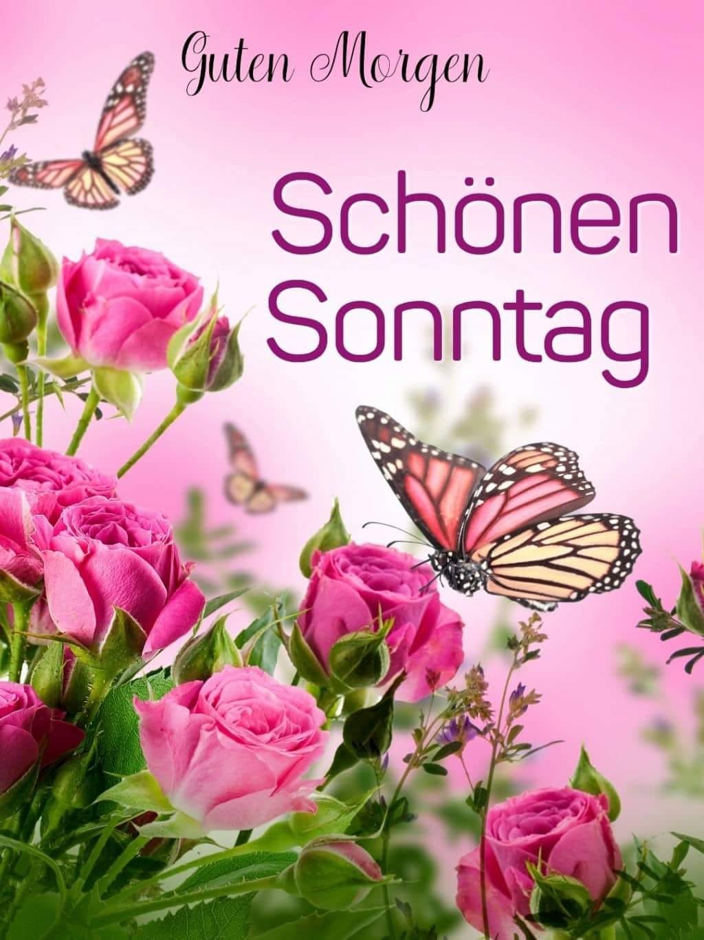 332155178_689126306290662_3384859891819652028_n (1)