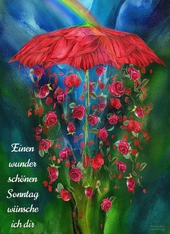 332184446_2665722726900227_5622912392004367964_n (1)