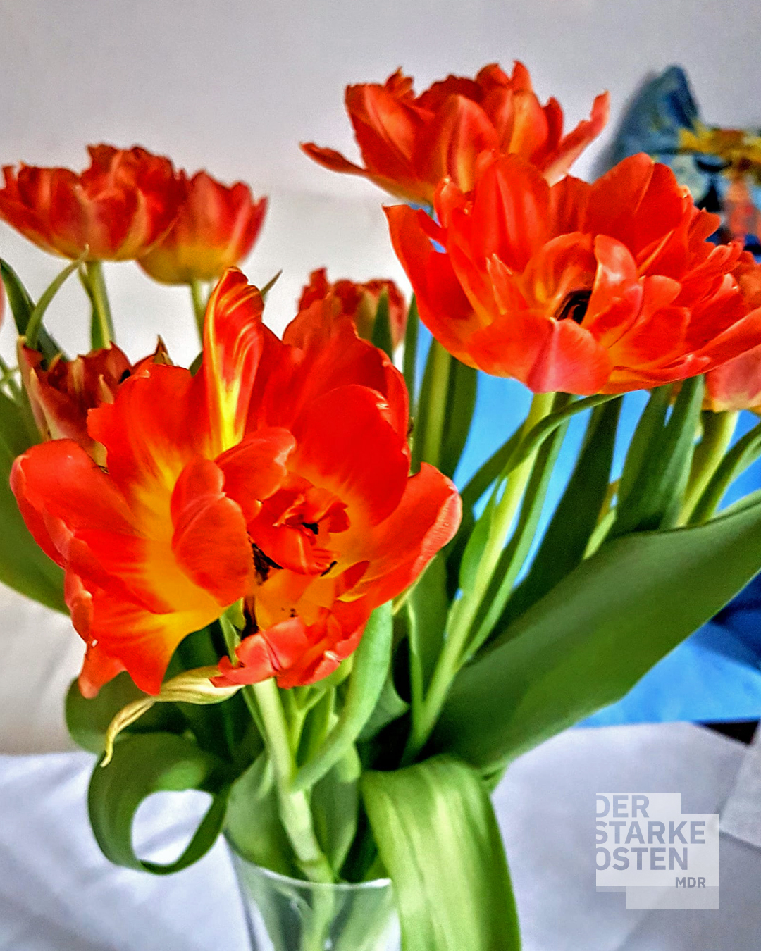 332730534_644915907395864_7235279815320867478_n