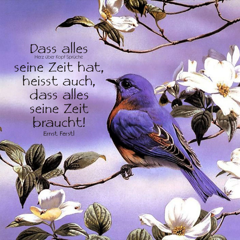 333262132_5962400307181485_4253248365944290411_n