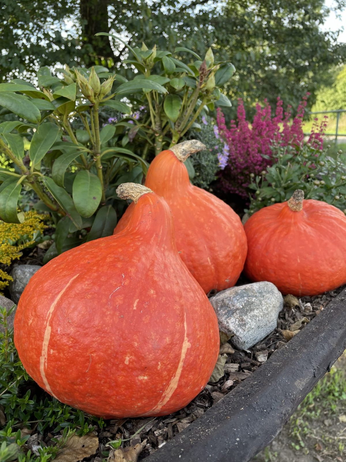 333ECE23-14D6-4F3C-971F-47CCA793A72C