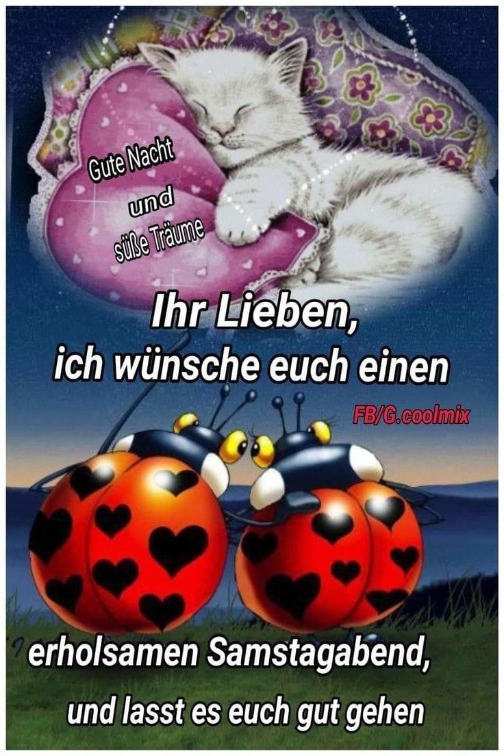 334247479_981353786167922_7841441473340652227_n (2)