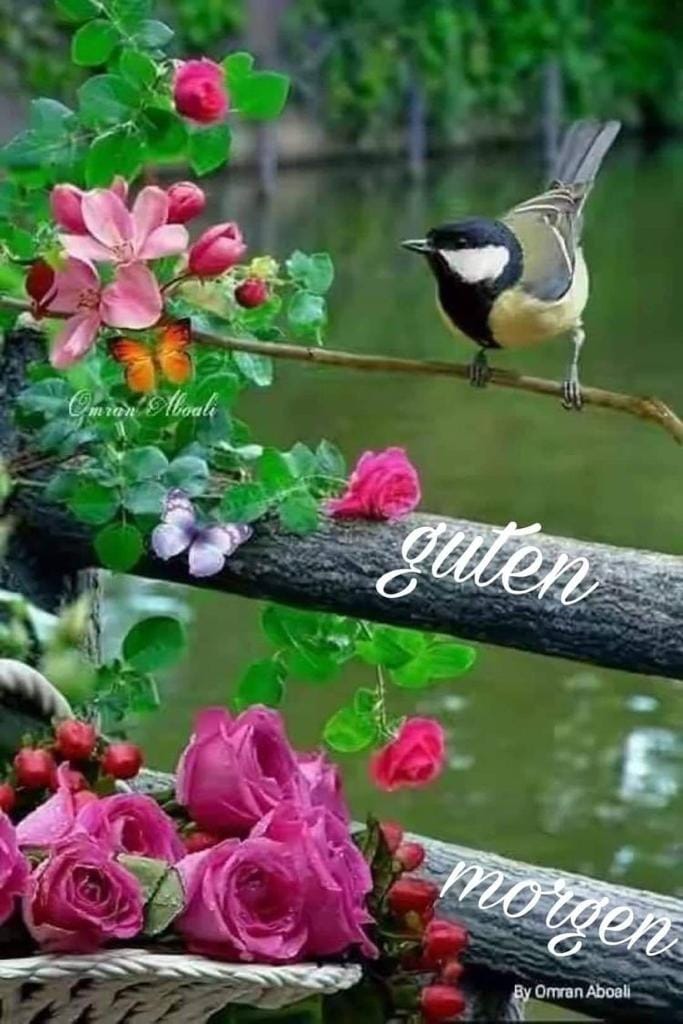 334506696_866216447780362_5557450319694045_n (1)