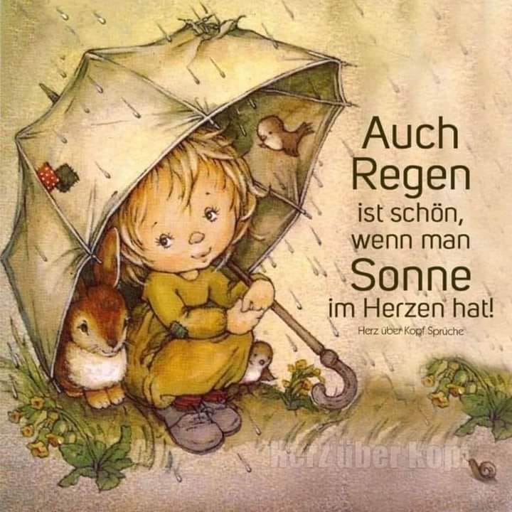 336768906_763493445186716_1539538979385554738_n