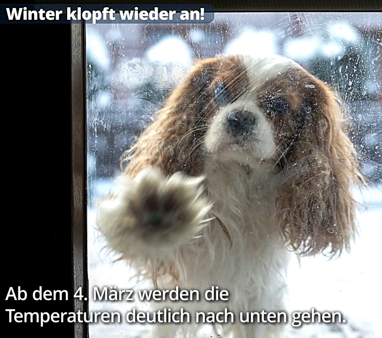 3379707A-804E-418B-B6B9-346B1EE69764