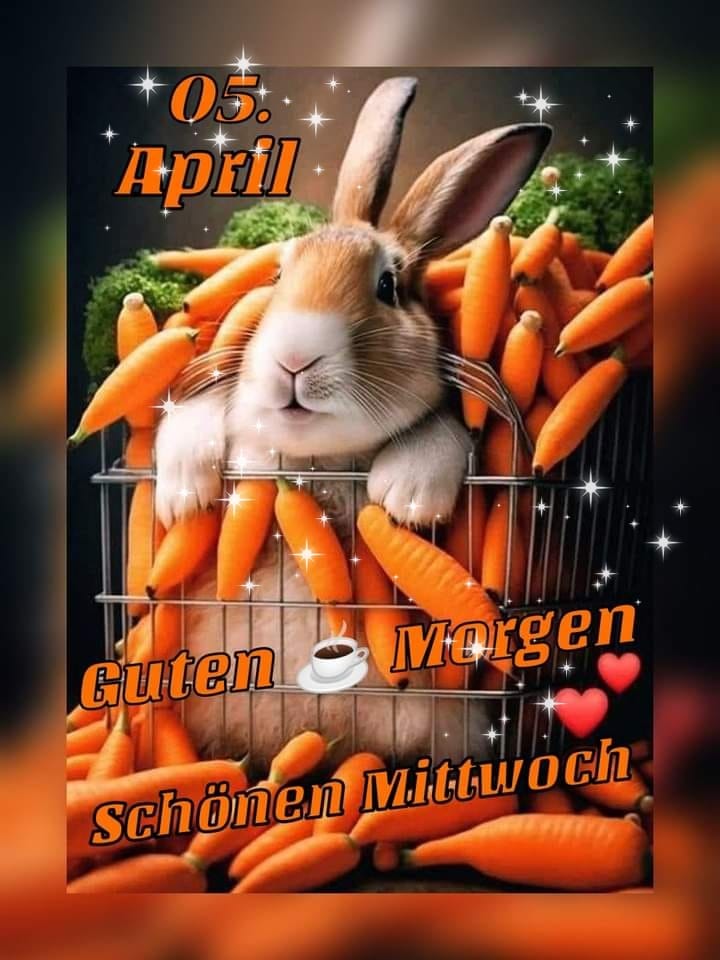 339293756_159847863337315_8812618425717523808_n