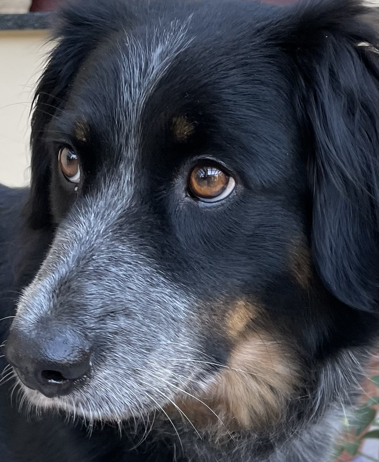 33AFCF7A-8F1E-43BD-A7A7-C6BB568034C2