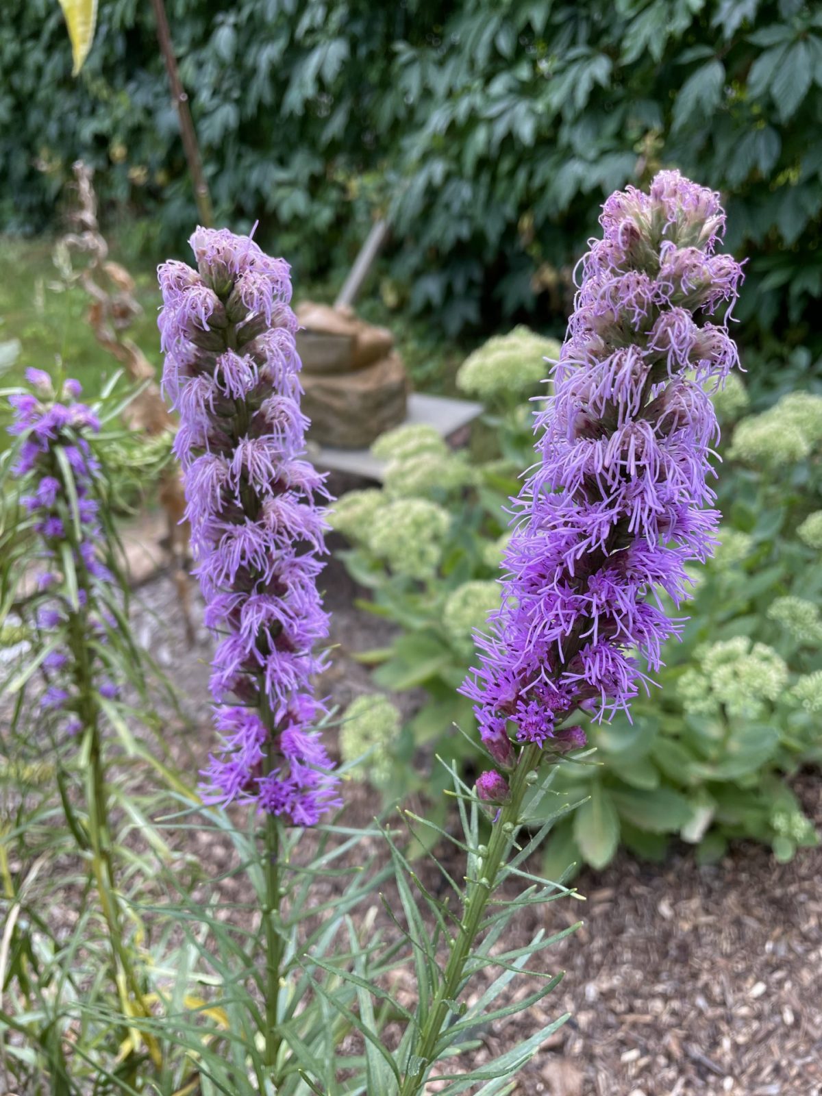 33C6DEE2-104F-4F8D-A2D7-E046D47FDEE2