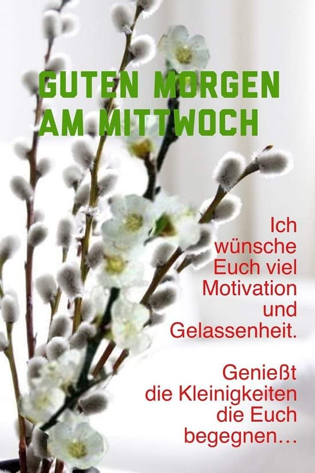 340751765_625249996139097_2448759586200612500_n (2)