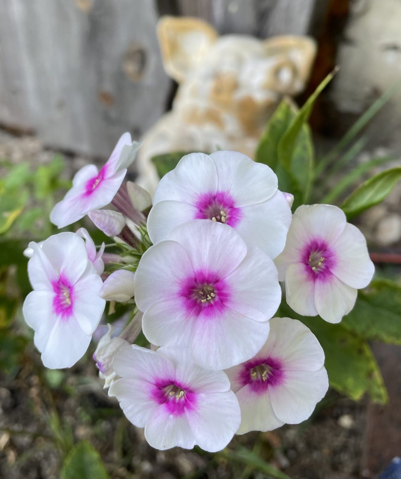 3408B429-99BB-4AB8-B3B0-D3D7D7989ECD