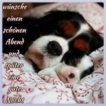 340dc84df29c2e819eec6efad333a8f1